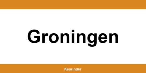 Contact en adres van een RDW-keuringsstation in Groningen