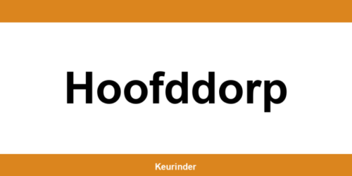 Contact en adres van een RDW-keuringsstation in Hoofddorp
