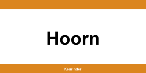 Contact en adres van een RDW-keuringsstation in Hoorn