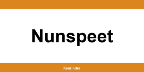 Contact en adres van een RDW-keuringsstation in Nunspeet