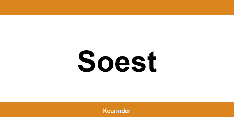Contact en adres van een RDW-keuringsstation in Soest