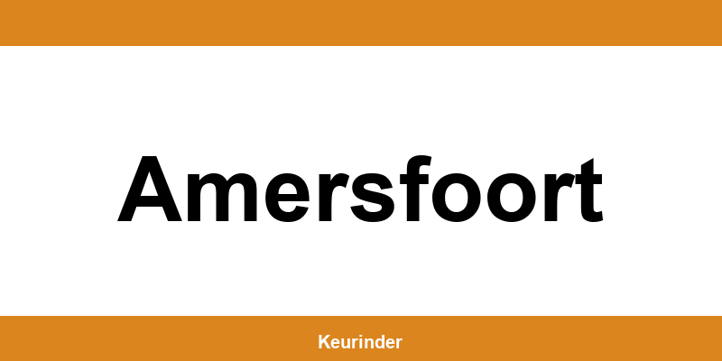 Contact en adres van een RDW-keuringsstation in Amersfoort