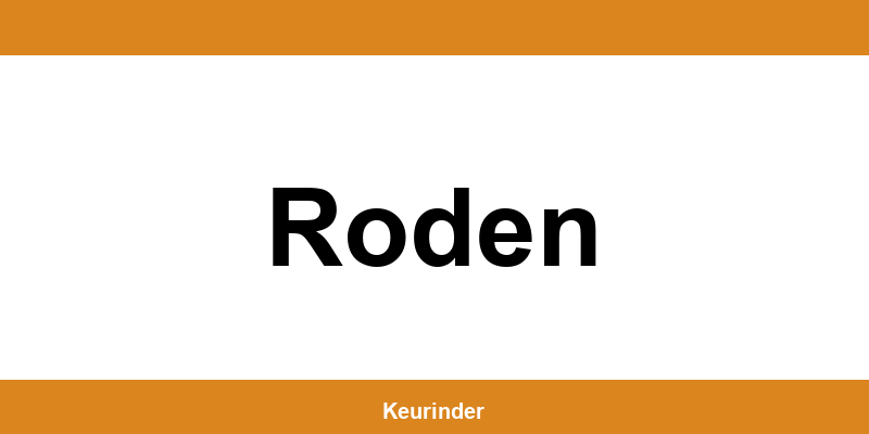 Contact en adres van een RDW-keuringsstation in Roden
