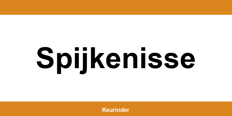 Contact en adres van een RDW-keuringsstation in Spijkenisse